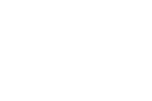 Araújo Cell